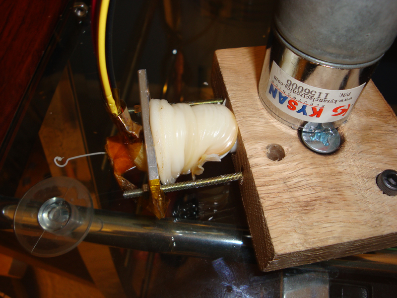 Failed extrusion attempt